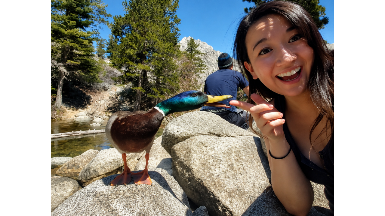 8. Duck selfie takes a sharp turn