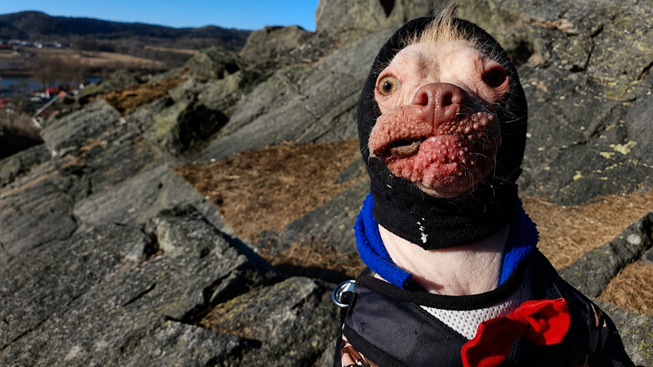 9. Not Every Photo Is Flattering