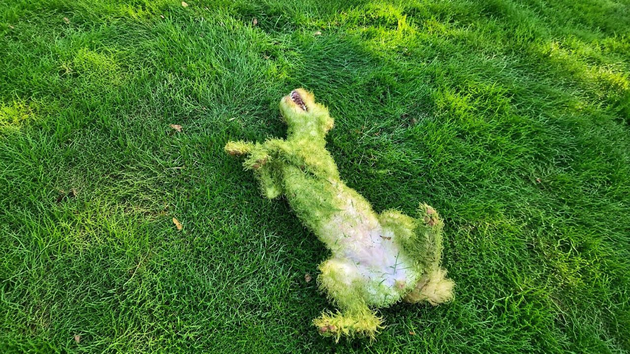 1. Grass Stains Are Temporary