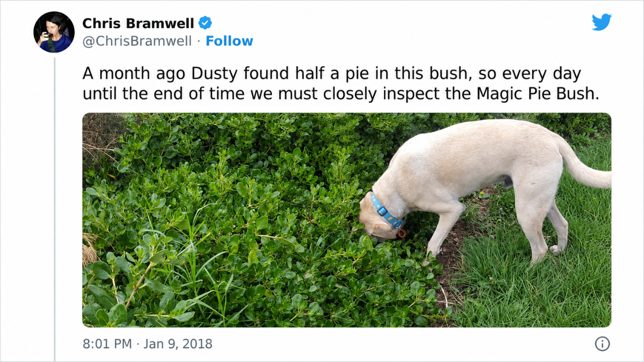 5. The Legendary Pie Bush