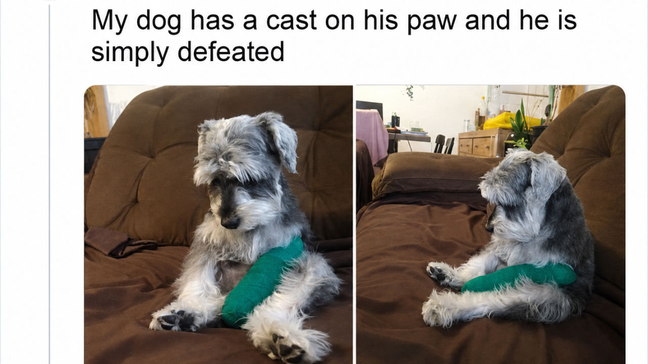 3. The Saddest Little Patient