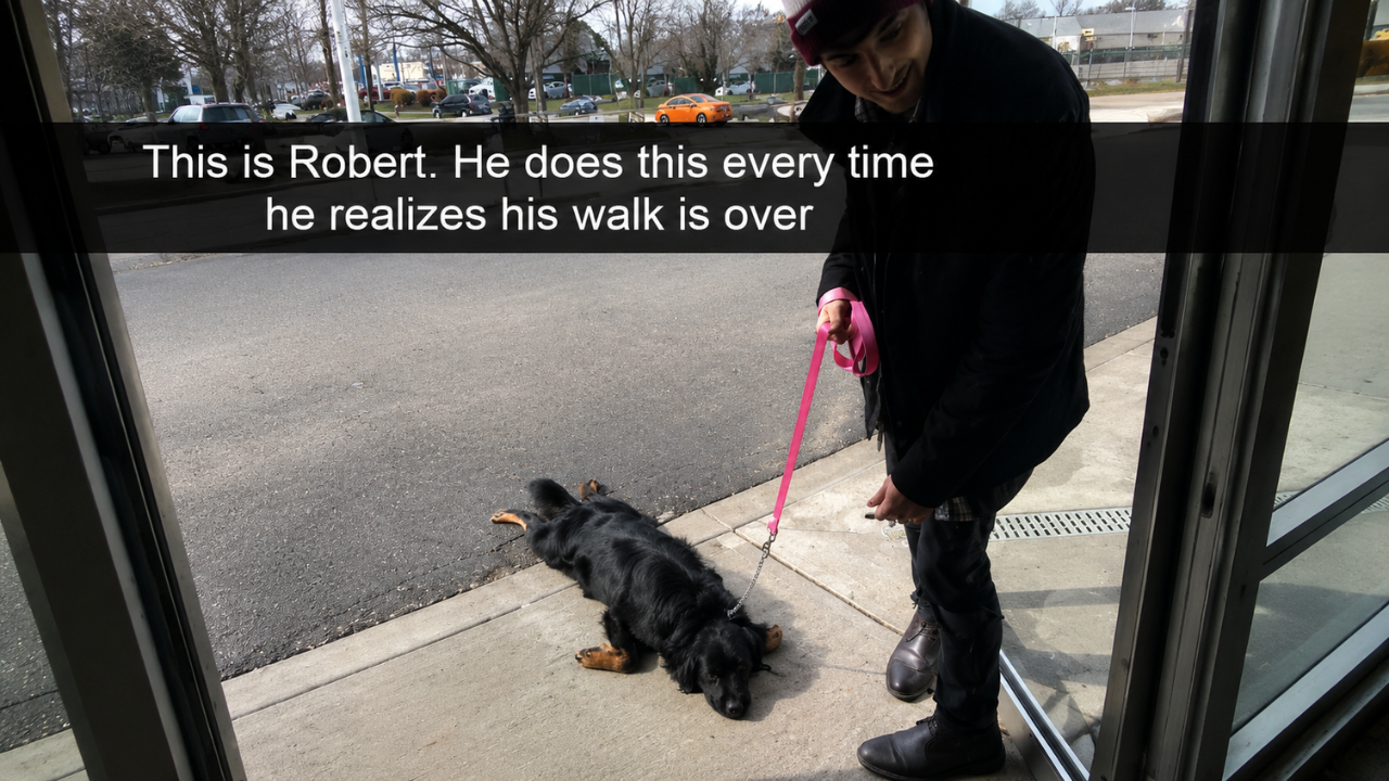 6. Refusing to End Walk Time