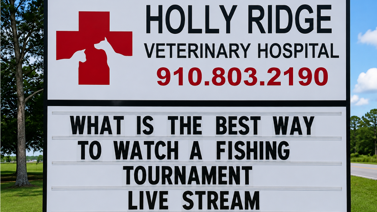 5. Fishing contest with a streaming twist