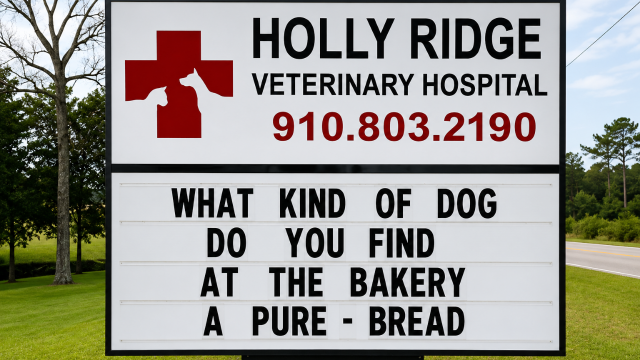 3. The bakery dog with loaf energy