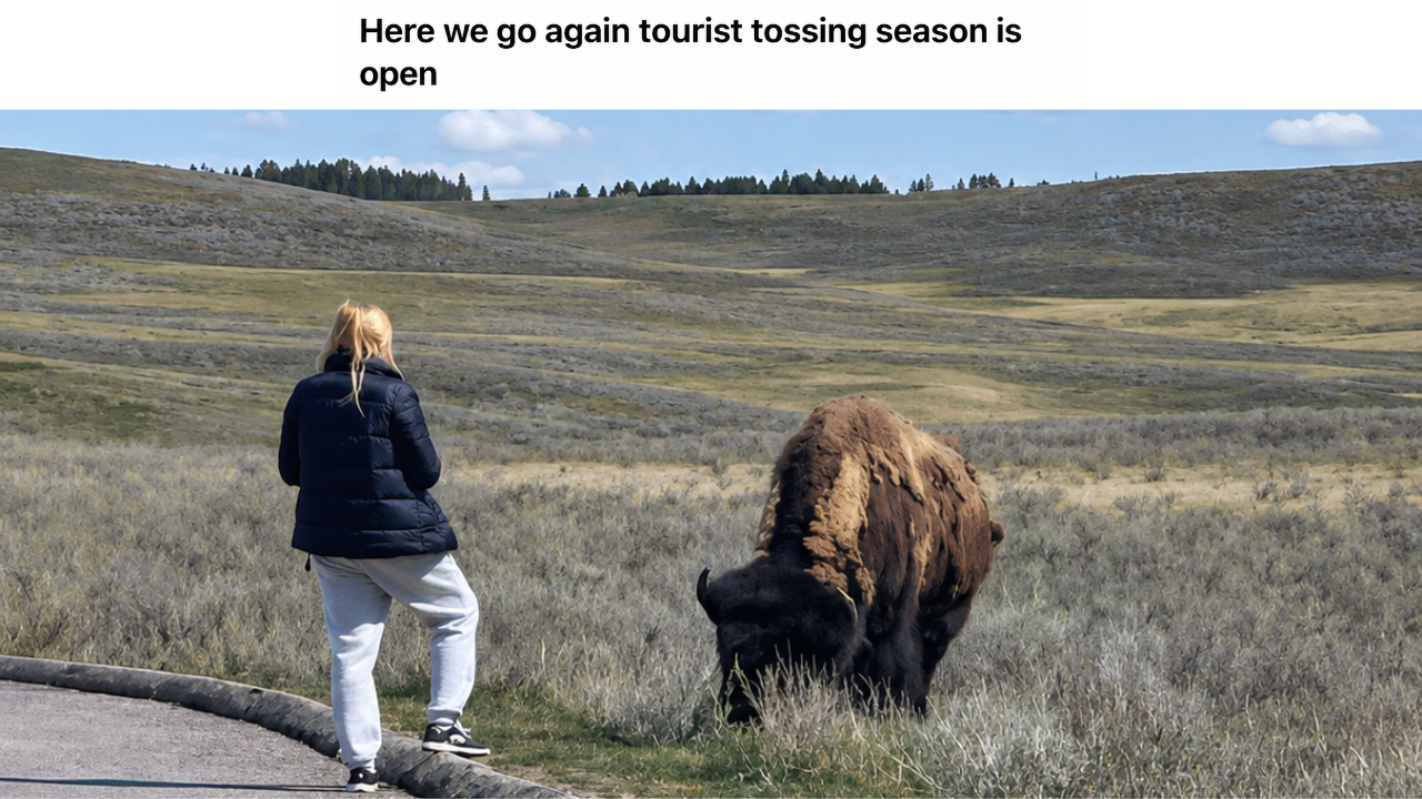 1. Oh, Here We Go Again