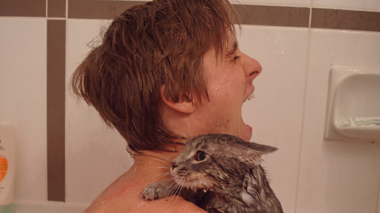 13. Bath Time With a Furious Cat