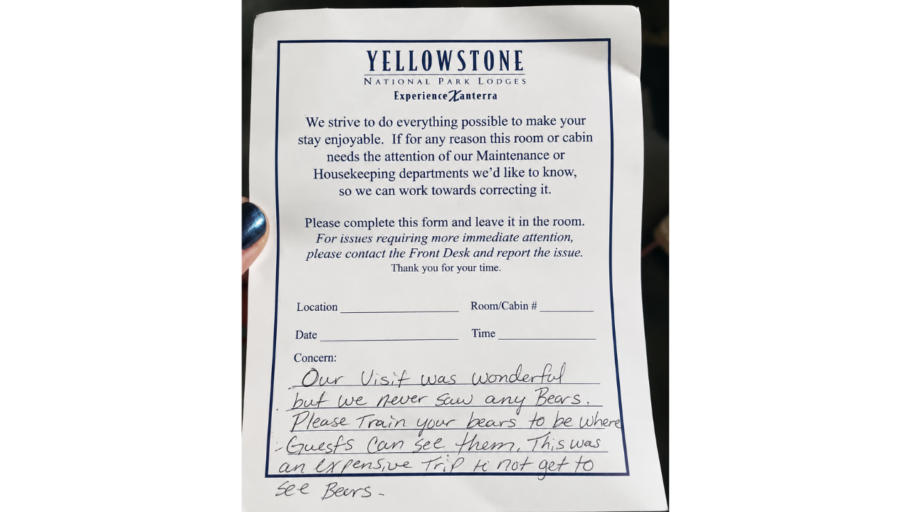 13. Tourists Shocked That Bears Have Their Own Schedules