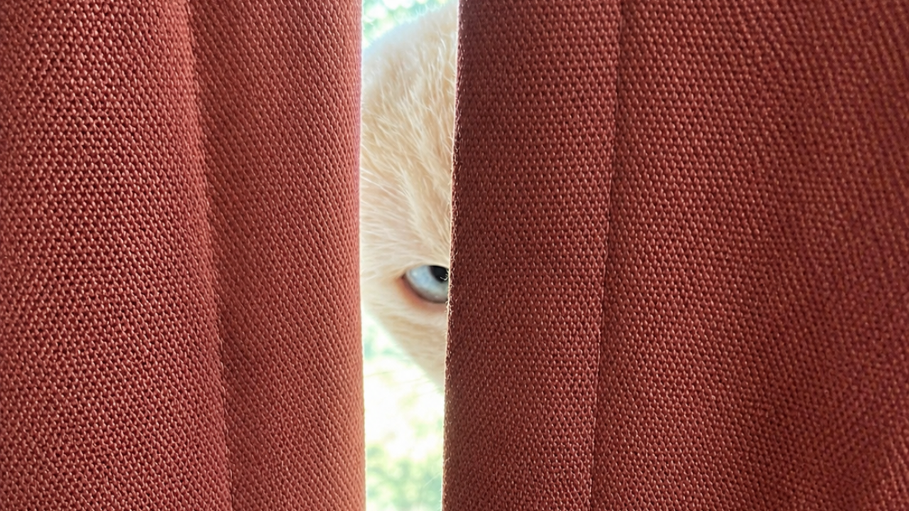 7. The Single Eye Watching From the Curtains