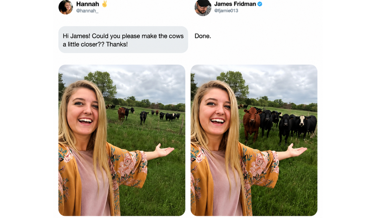 12. When cows took center stage