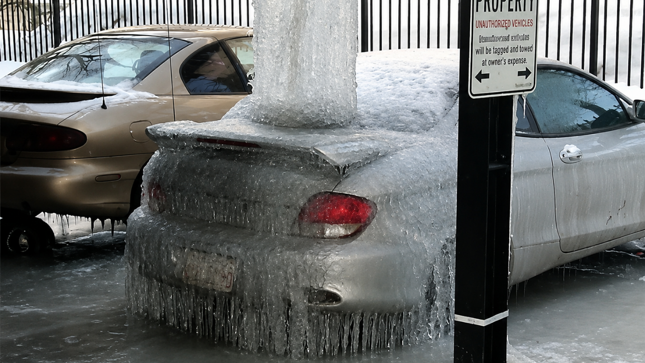 14. Nature Completely Covered the Car