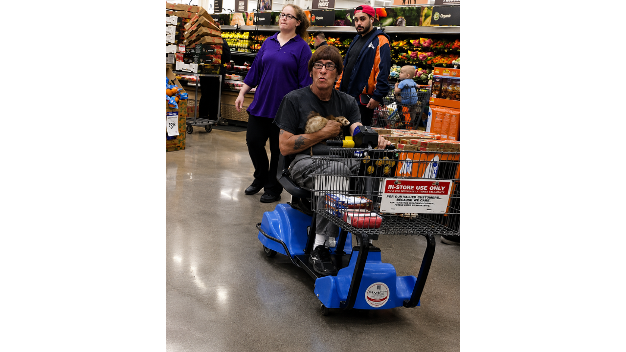 5. Grocery Shopping With a Ferret