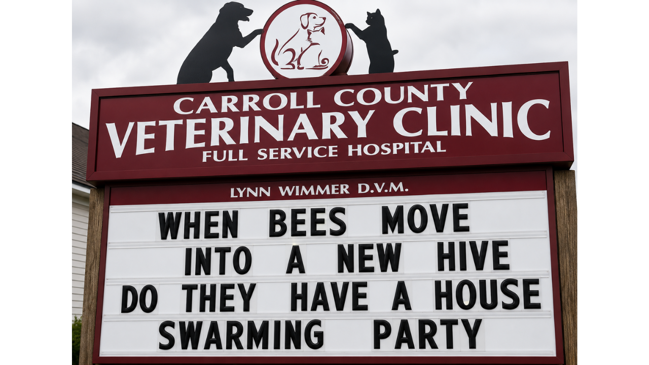 9. Bee puns and playful wordplay