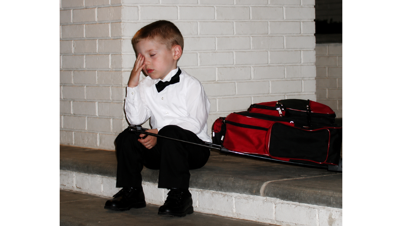 1. A tiny guest with a broken heart