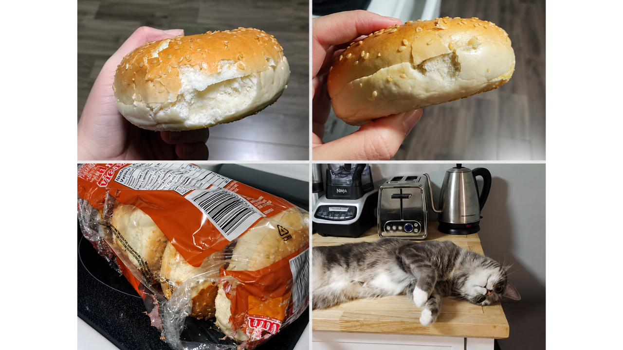 10. Revenge cat attacks the bagels